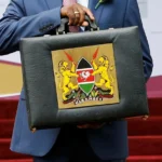 Esther Passaris Demands Full Investigation into TikToker Milly wa Doc’s Death